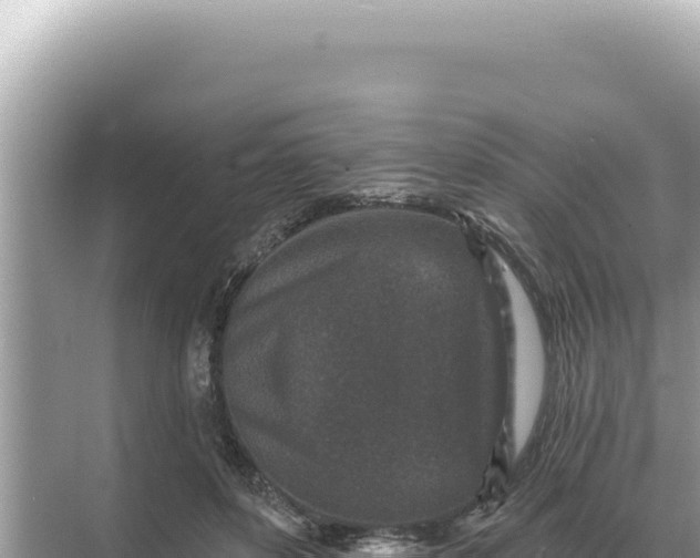 X0000068270504200605051818