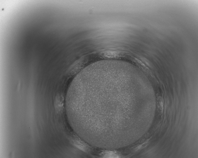 X0000068270507200605051818