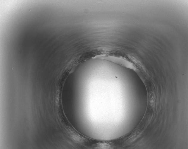 X0000068270509200605051818