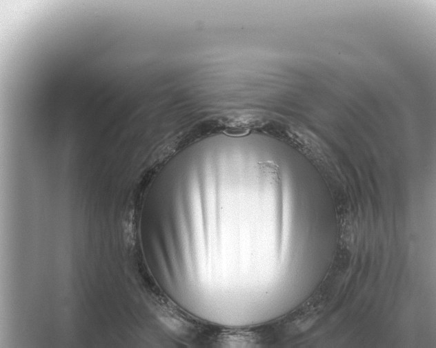 X0000068270510200605051818