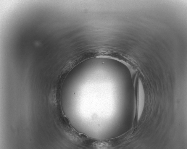 X0000068270512200605051818