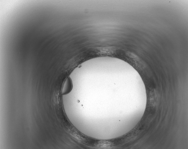 X0000068270514200605051818