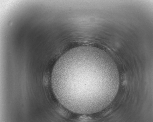 X0000068270515200605051818