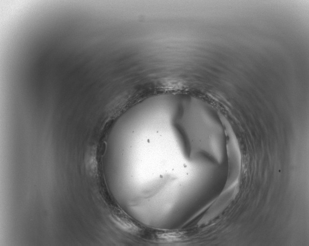 X0000068270516200605051818