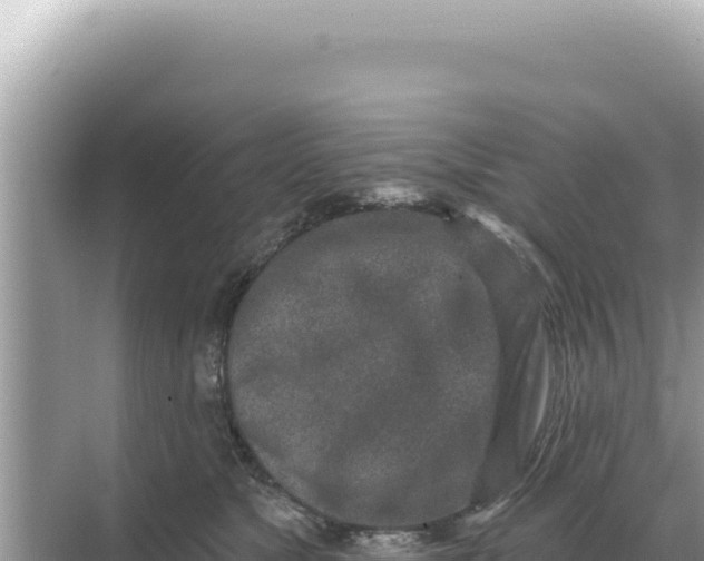 X0000068270517200605051818