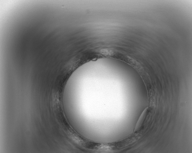 X0000068270518200605051818