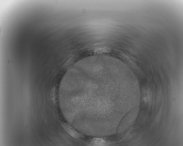 X0000068270519200605051818