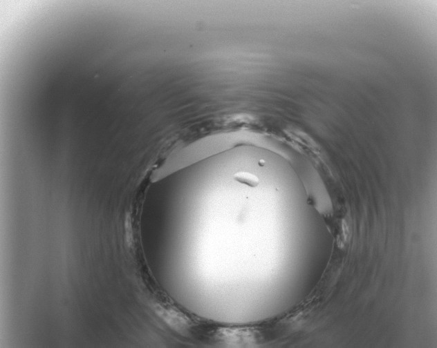 X0000068270520200605051818