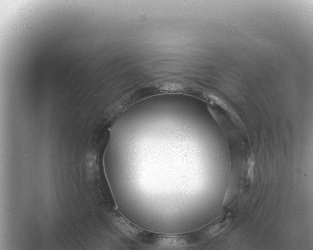 X0000068270521200605051818