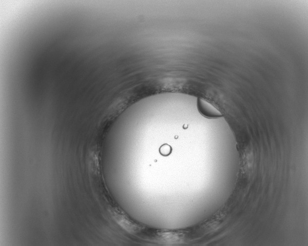 X0000068270522200605051818