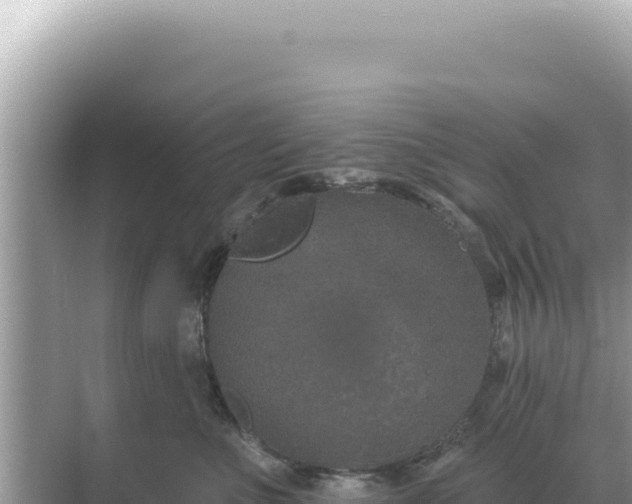 X0000068270523200605051818