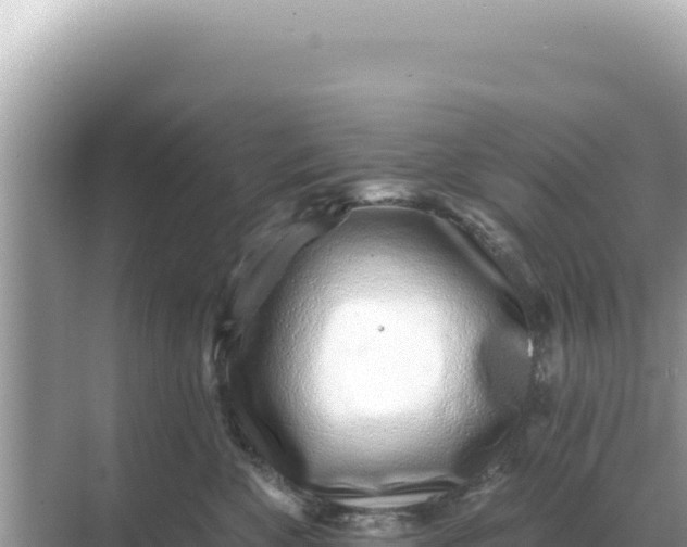 X0000068270524200605051818