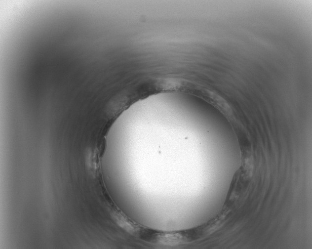 X0000068270525200605051818