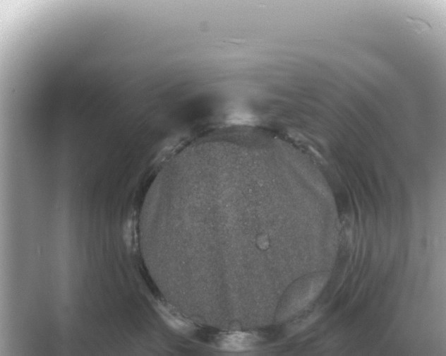 X0000068270527200605051818