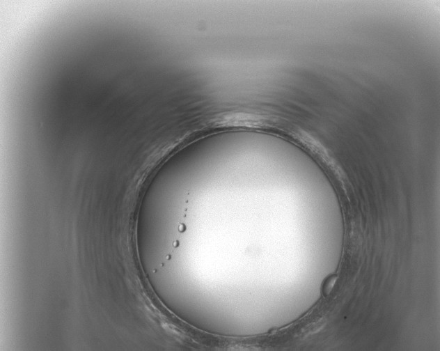 X0000068270529200605051817