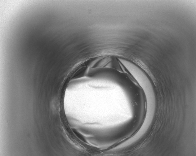 X0000068270530200605051817