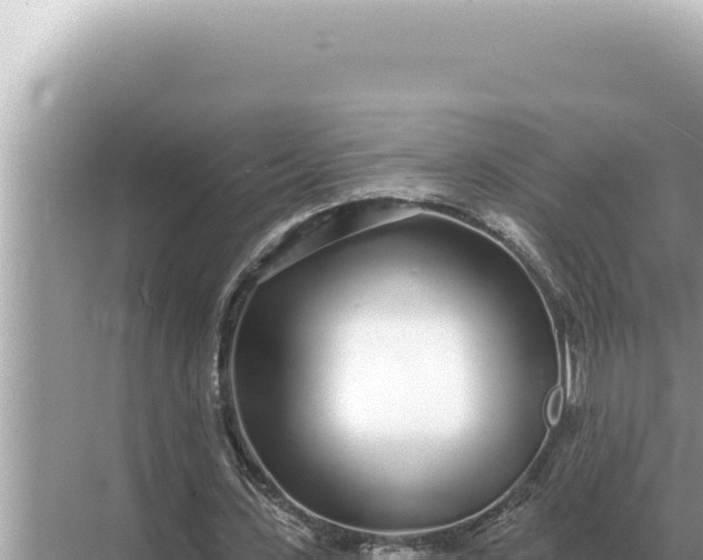 X0000068270531200605051817