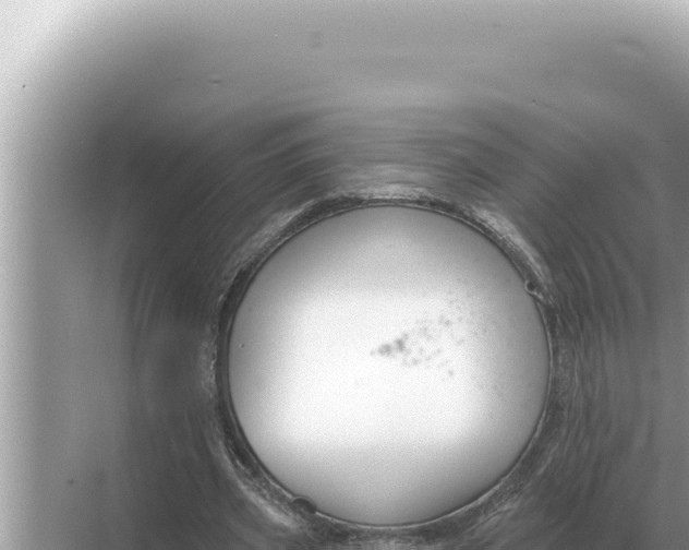 X0000068270533200605051817