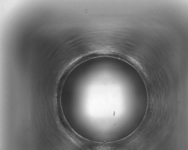 X0000068270535200605051817