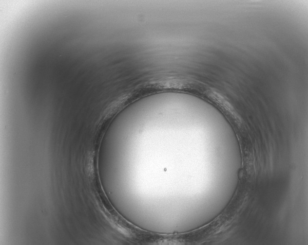 X0000068270537200605051817