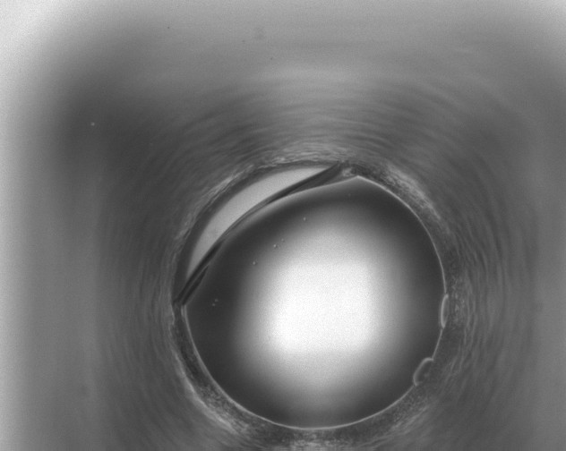 X0000068270538200605051817