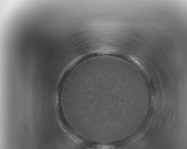 X0000068270539200605051817