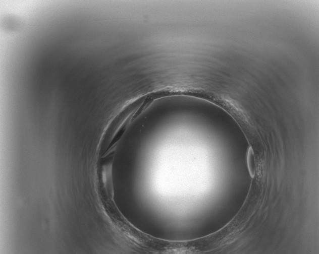 X0000068270540200605051817