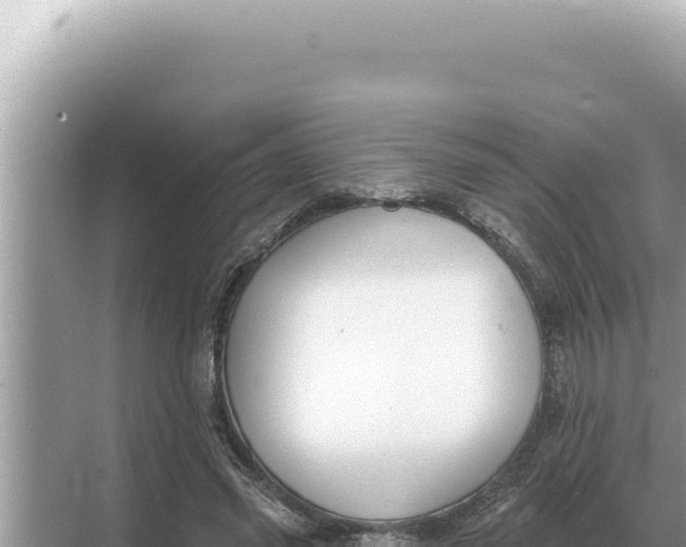 X0000068270541200605051817