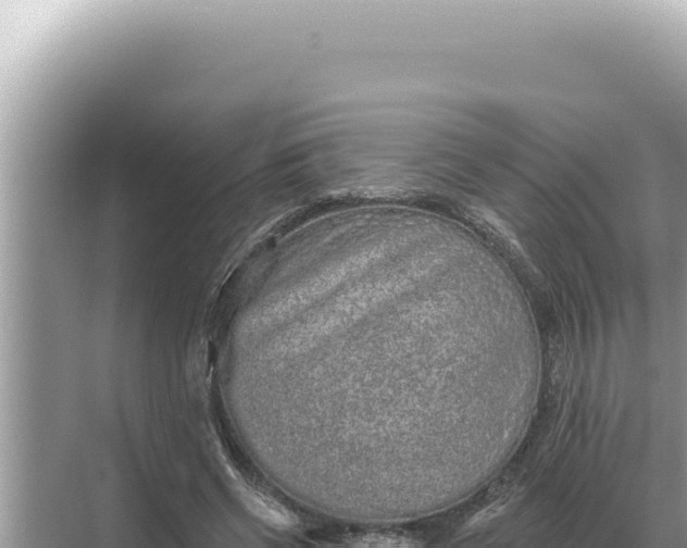 X0000068270542200605051817