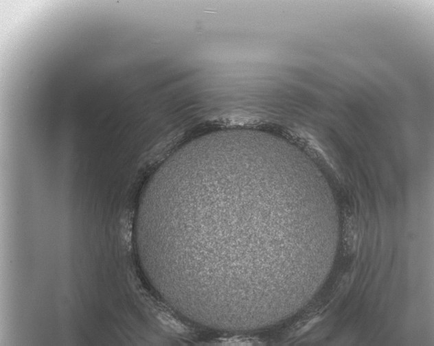 X0000068270545200605051817