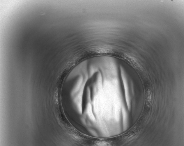 X0000068270547200605051818