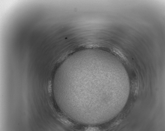 X0000068270549200605051818