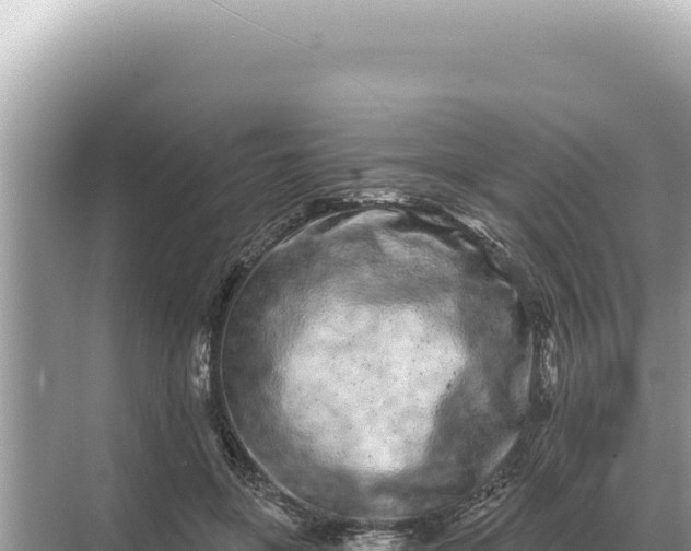 X0000068270551200605051818