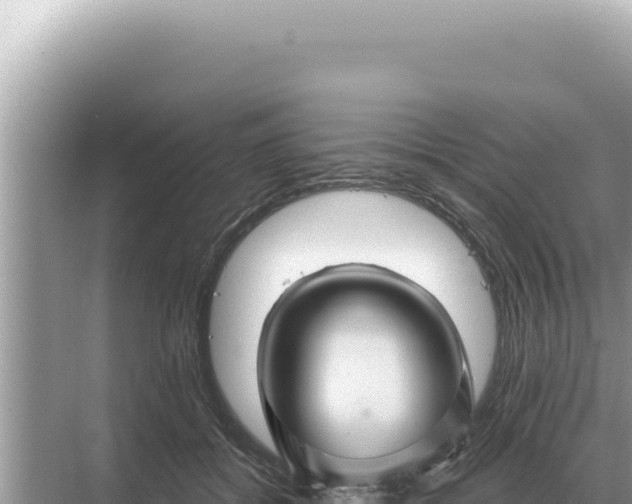 X0000068270556200605051818