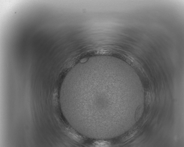 X0000068270557200605051818