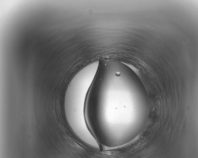 X0000068270558200605051818