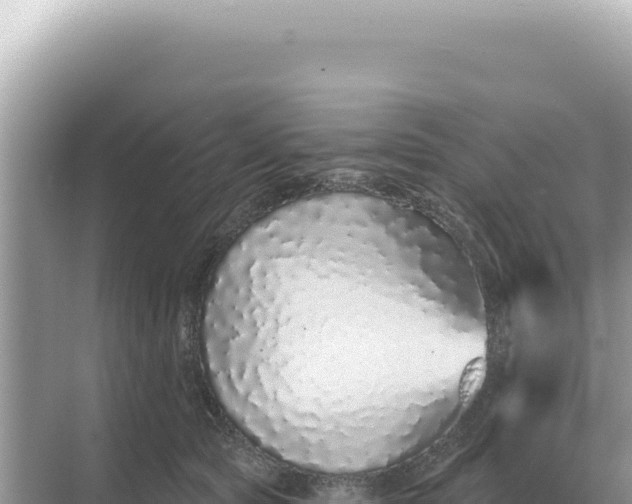 X0000068270561200605051818