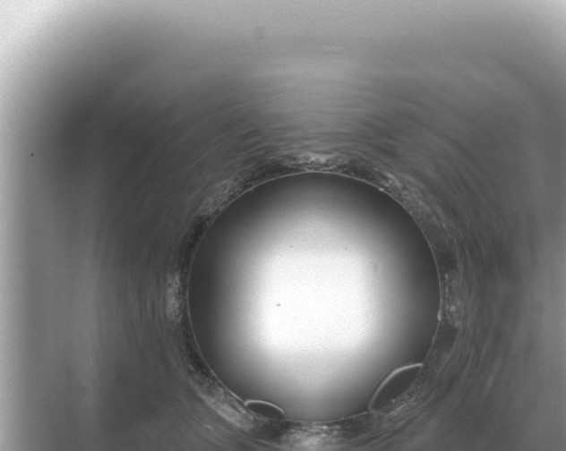 X0000068270563200605051818