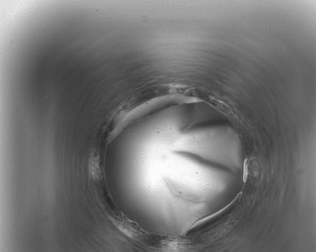 X0000068270564200605051818