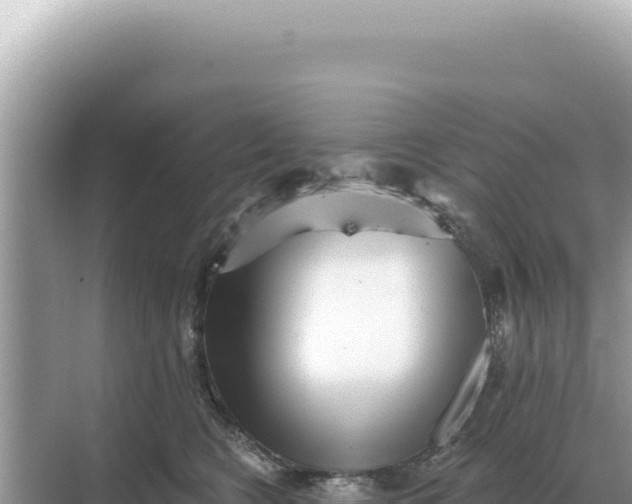 X0000068270566200605051818