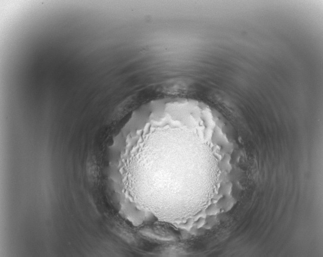 X0000068270569200605051818