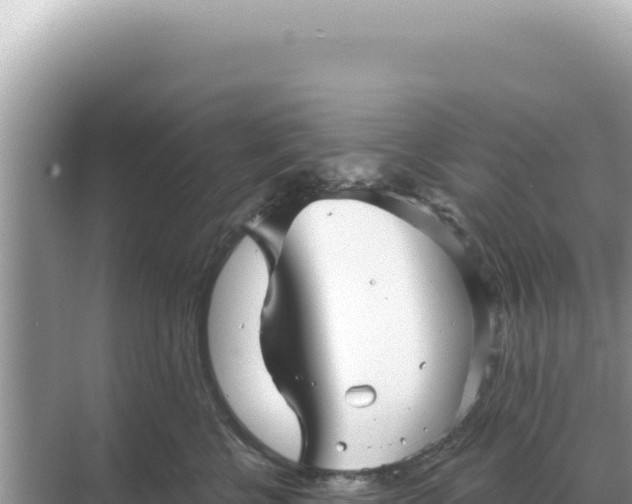 X0000068270570200605051818