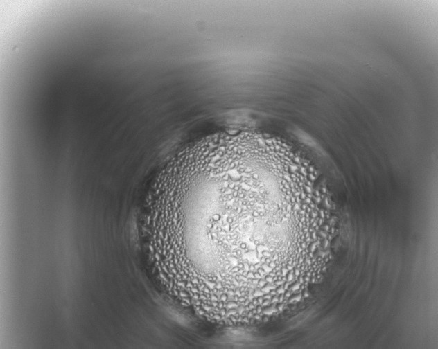 X0000068270573200605051818