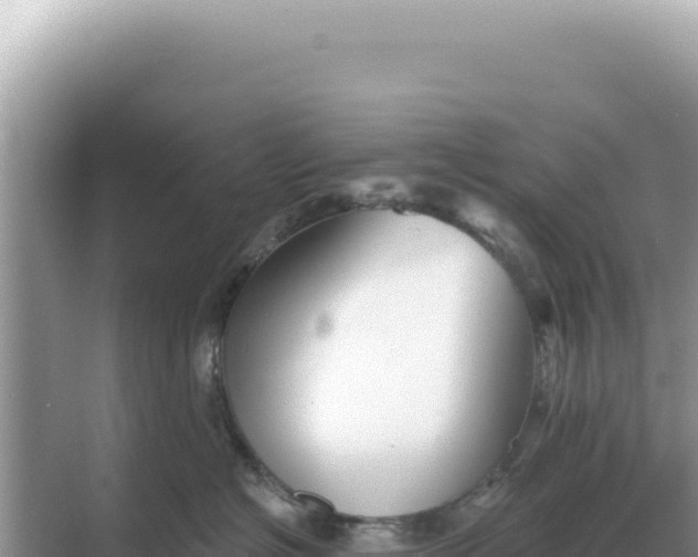 X0000068270574200605051818