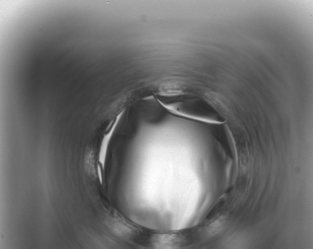 X0000068270575200605051818