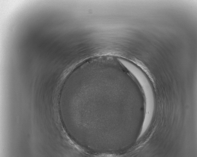 X0000068270577200605051817