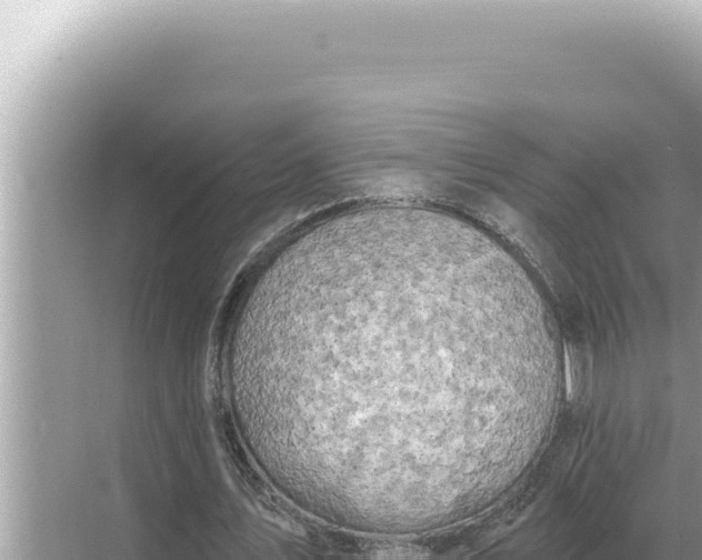 X0000068270579200605051817