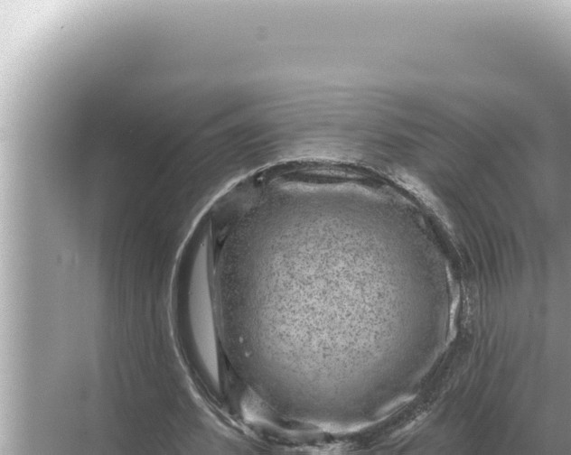 X0000068270580200605051817