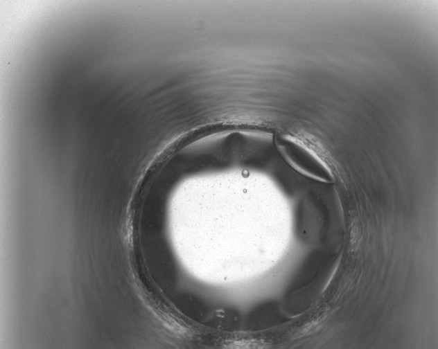 X0000068270584200605051817