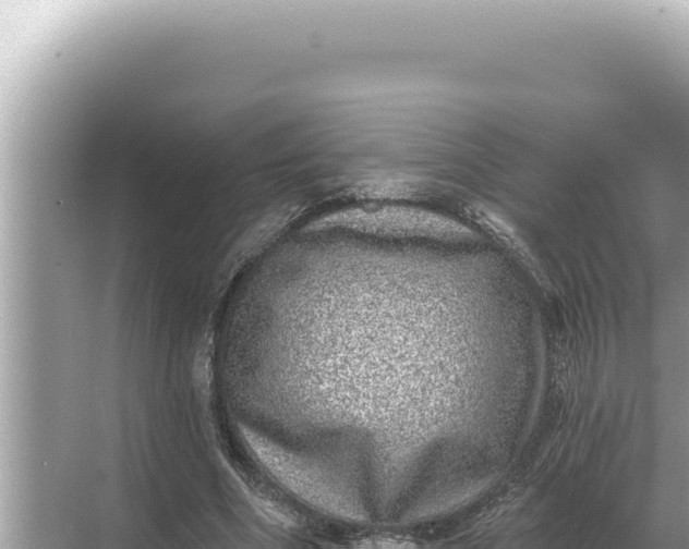 X0000068270586200605051817